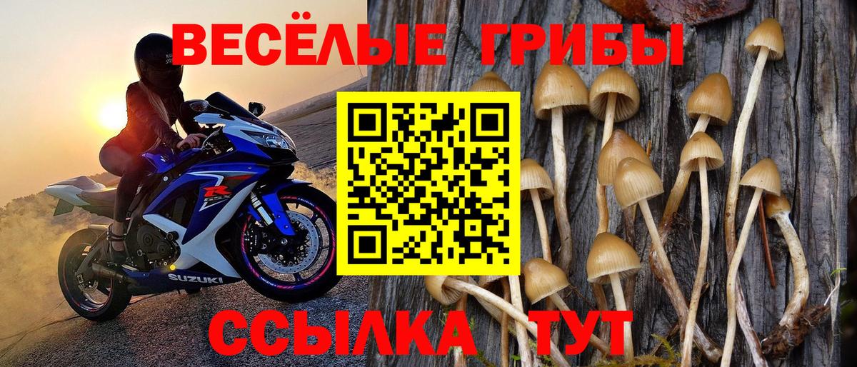 Псилоцибиновые грибы GOLDEN TEACHER  магазин    Муравленко  Вход с VPN 